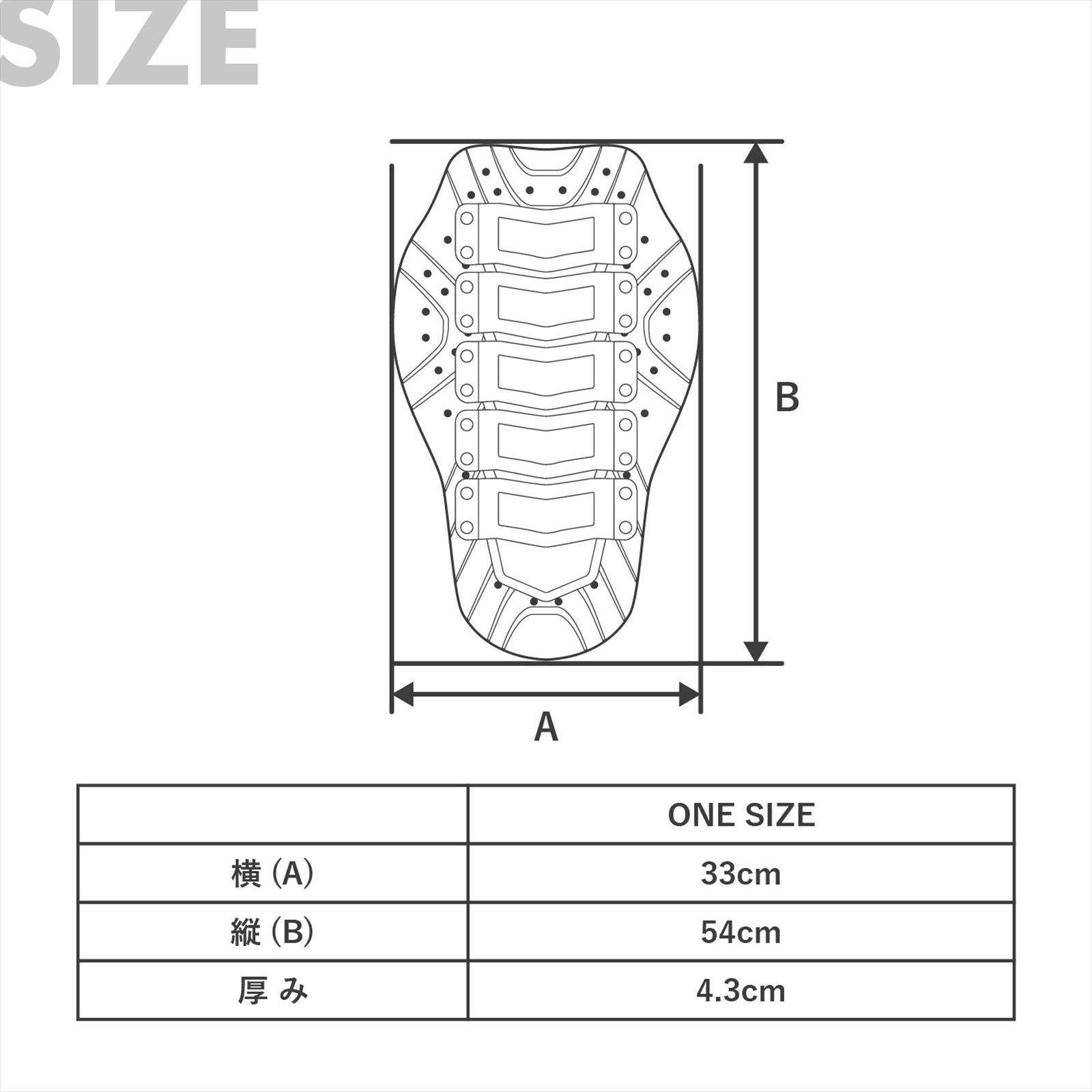 Sports Back Protector CE